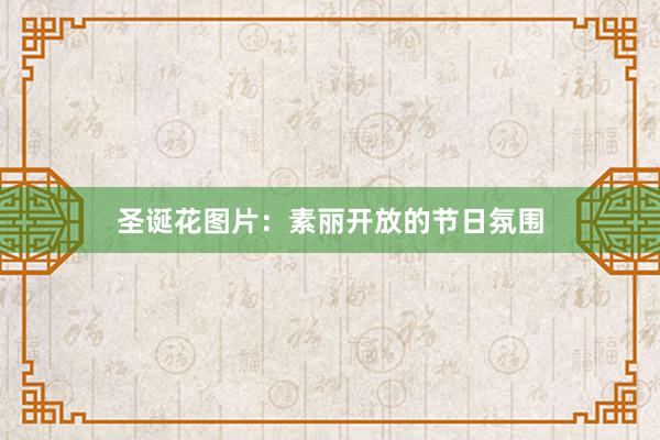 圣诞花图片：素丽开放的节日氛围
